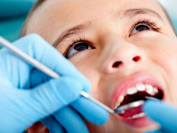 Hướng Dẫn Chăm Sóc Răng Miệng Cho Trẻ Theo Từng Độ Tuổi Hướng Dẫn Chăm Sóc Răng Miệng Cho Trẻ Theo Từng Độ Tuổi - Trường Mầm Non STEAM KIDS