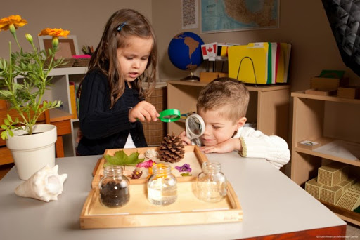 Trẻ Học Tư Duy Sáng Tạo Với Phương Pháp Reggio Emilia Trẻ Học Tư Duy Sáng Tạo Với Phương Pháp Reggio Emilia - Trường Mầm Non STEAM KIDS