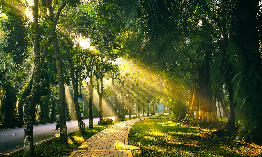 Lợi Ích Tuyệt Vời Từ Những Chuyến Dạo Chơi Ngoài Thiên Nhiên Lợi Ích Tuyệt Vời Từ Những Chuyến Dạo Chơi Ngoài Thiên Nhiên - Trường Mầm Non STEAM KIDS