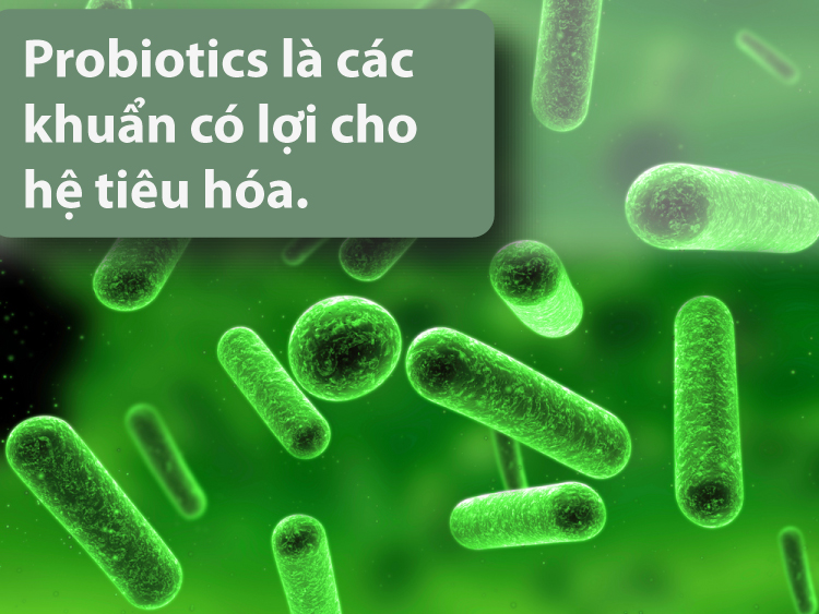 Những Lợi Ích Của Probiotics Cho Bé Yêu - Trường Mầm Non STEAM KIDS