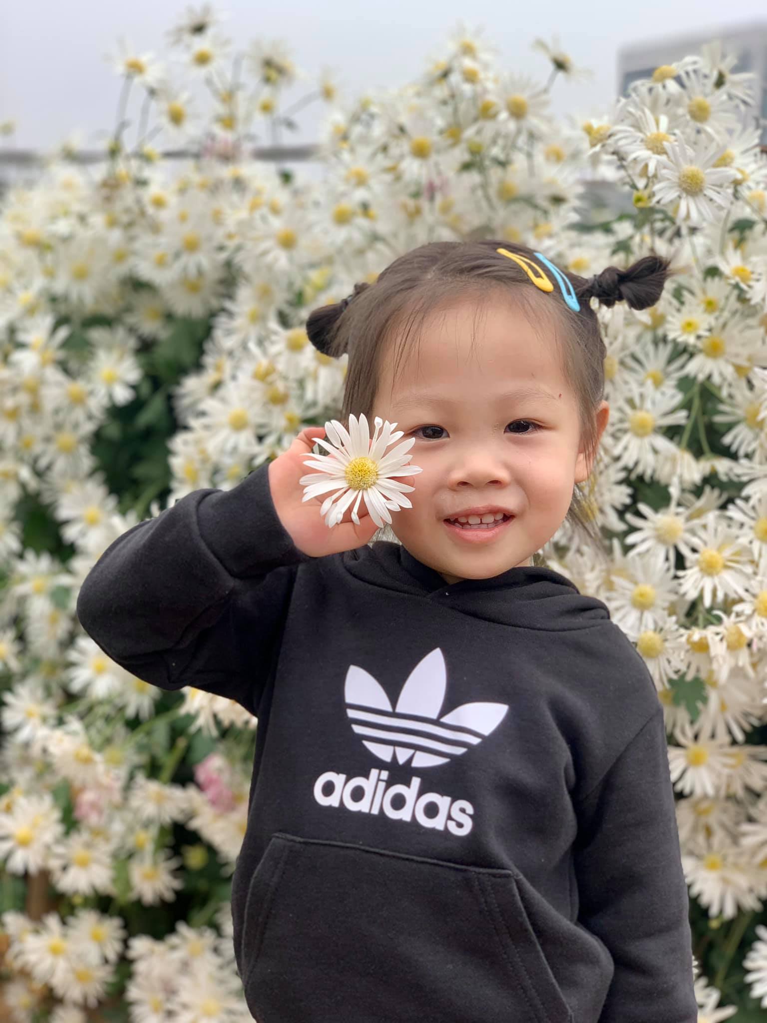 Trang chủ Trang chủ - Trường Mầm Non STEAM KIDS