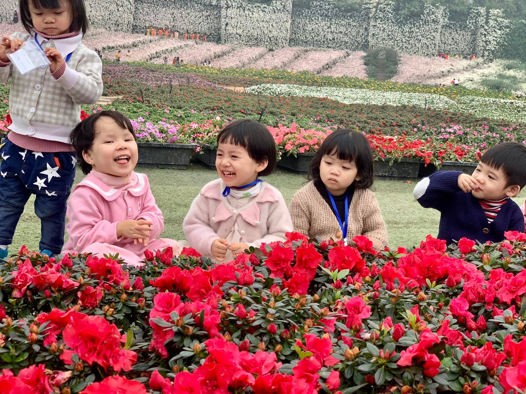 Trang chủ Trang chủ - Trường Mầm Non STEAM KIDS