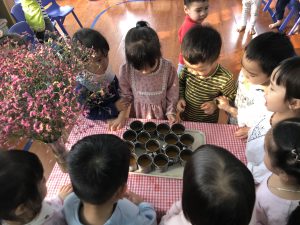 Thực Hành Cuộc Sống: Vắt Nước Cam Lớp Steam 4 - Trường Mầm Non STEAM KIDS