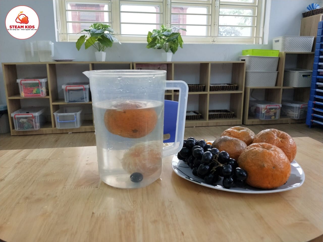 Khám Phá Sự Kì Diệu Của Quả Cam Lớp Steam 6 - Trường Mầm Non STEAM KIDS