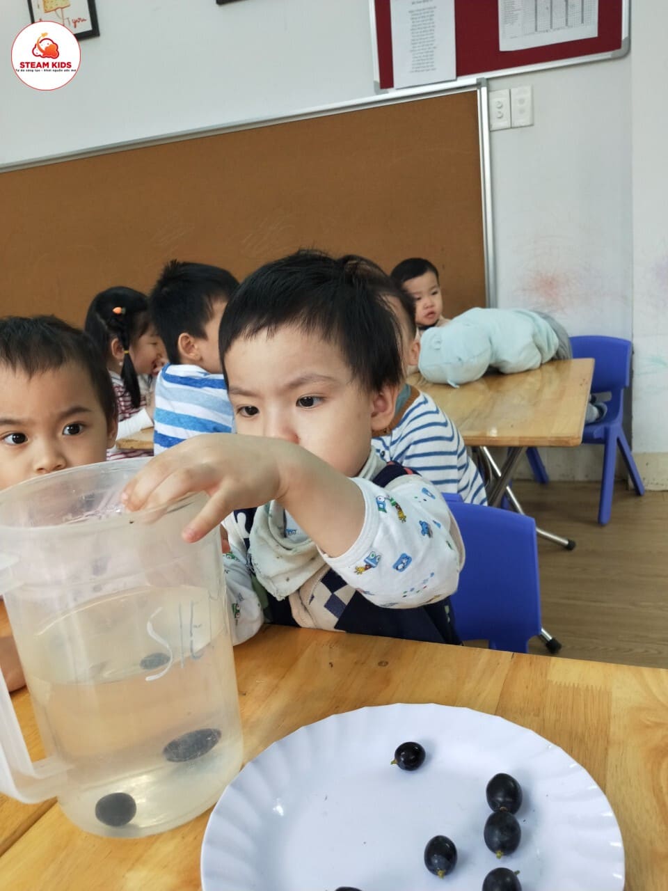 Khám Phá Sự Kì Diệu Của Quả Cam Lớp Steam 6 - Trường Mầm Non STEAM KIDS