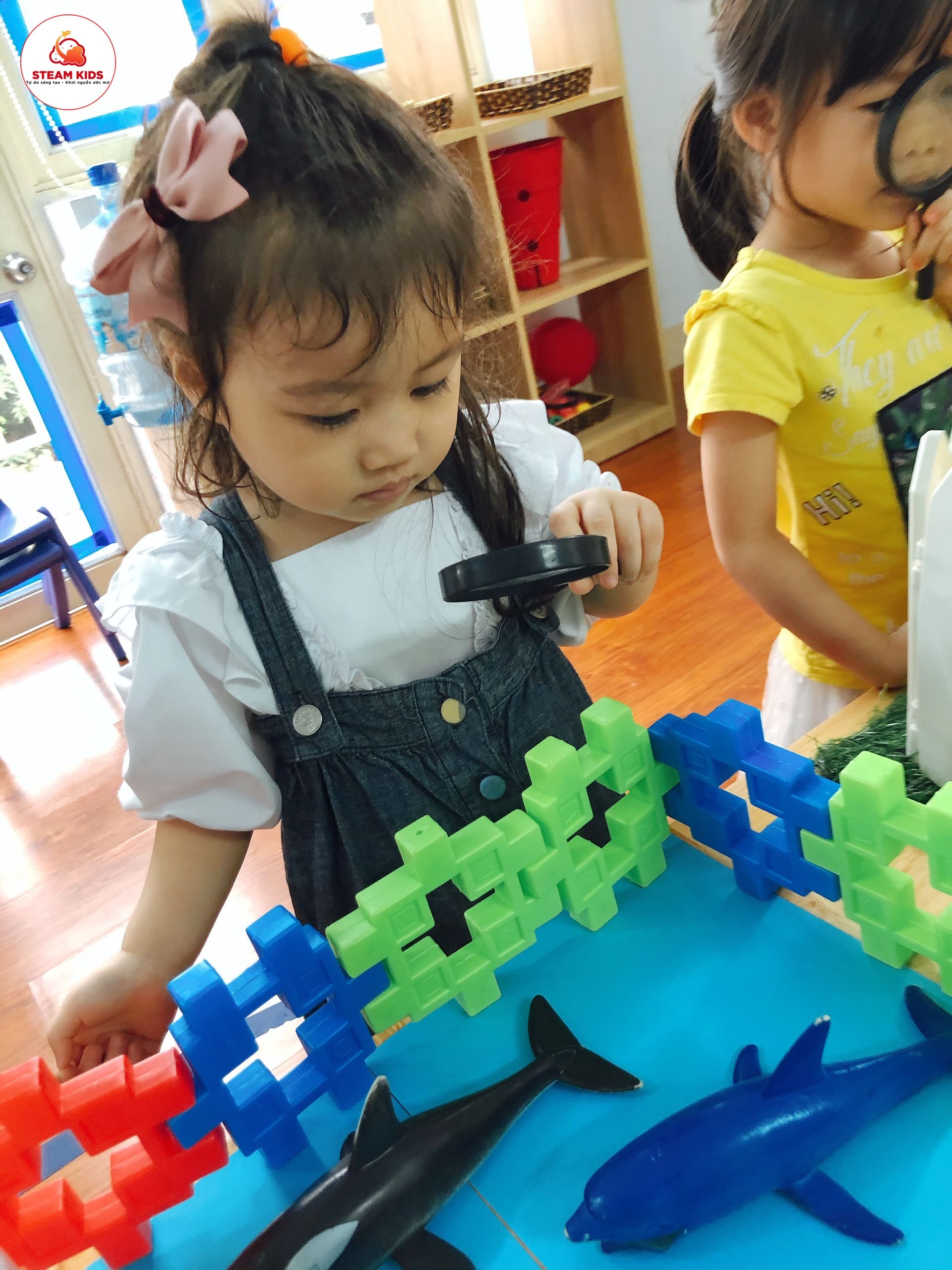 Họat Động "Khám Phá Trang Trại" Của Lớp Steam 4 - Trường Mầm Non STEAM KIDS