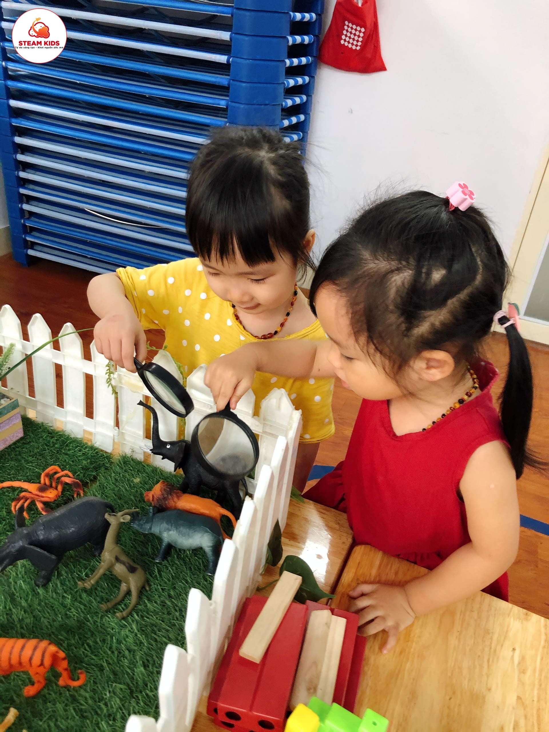 Họat Động "Khám Phá Trang Trại" Của Lớp Steam 4 - Trường Mầm Non STEAM KIDS