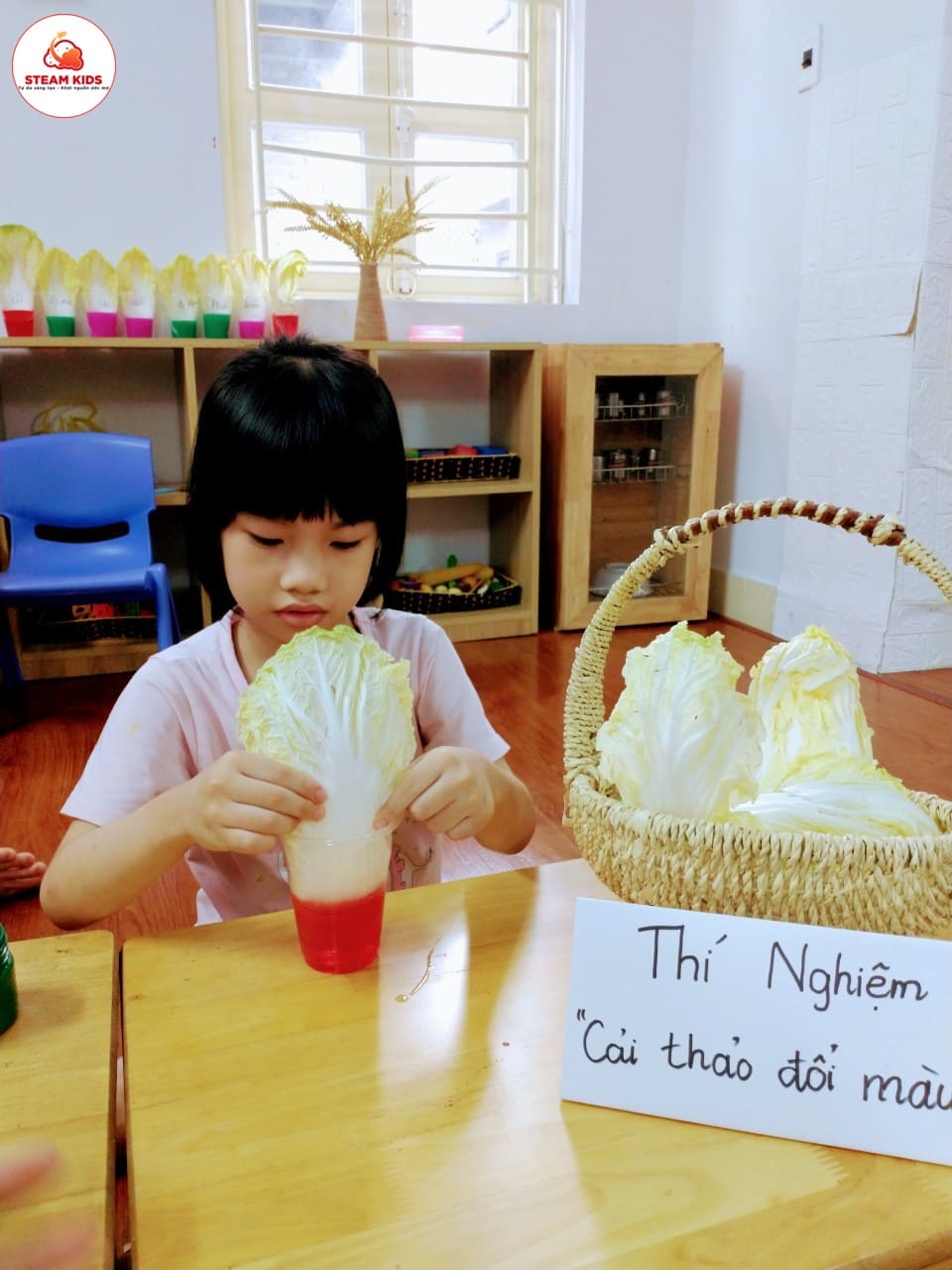 Thí Nghiệm: Cải Thảo Đổi Màu Lớp Steam 1 Thí Nghiệm: Cải Thảo Đổi Màu Lớp Steam 1 - Trường Mầm Non STEAM KIDS