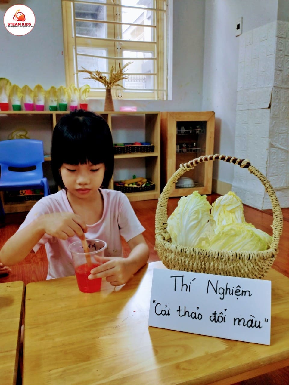 Thí Nghiệm: Cải Thảo Đổi Màu Lớp Steam 1 Thí Nghiệm: Cải Thảo Đổi Màu Lớp Steam 1 - Trường Mầm Non STEAM KIDS
