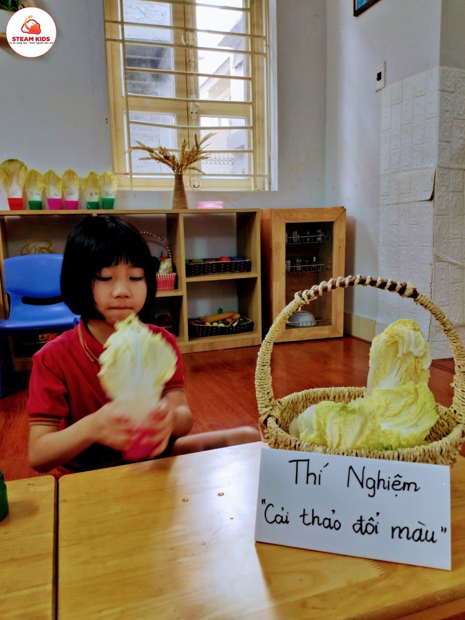Thí Nghiệm: Cải Thảo Đổi Màu Lớp Steam 1 Thí Nghiệm: Cải Thảo Đổi Màu Lớp Steam 1 - Trường Mầm Non STEAM KIDS