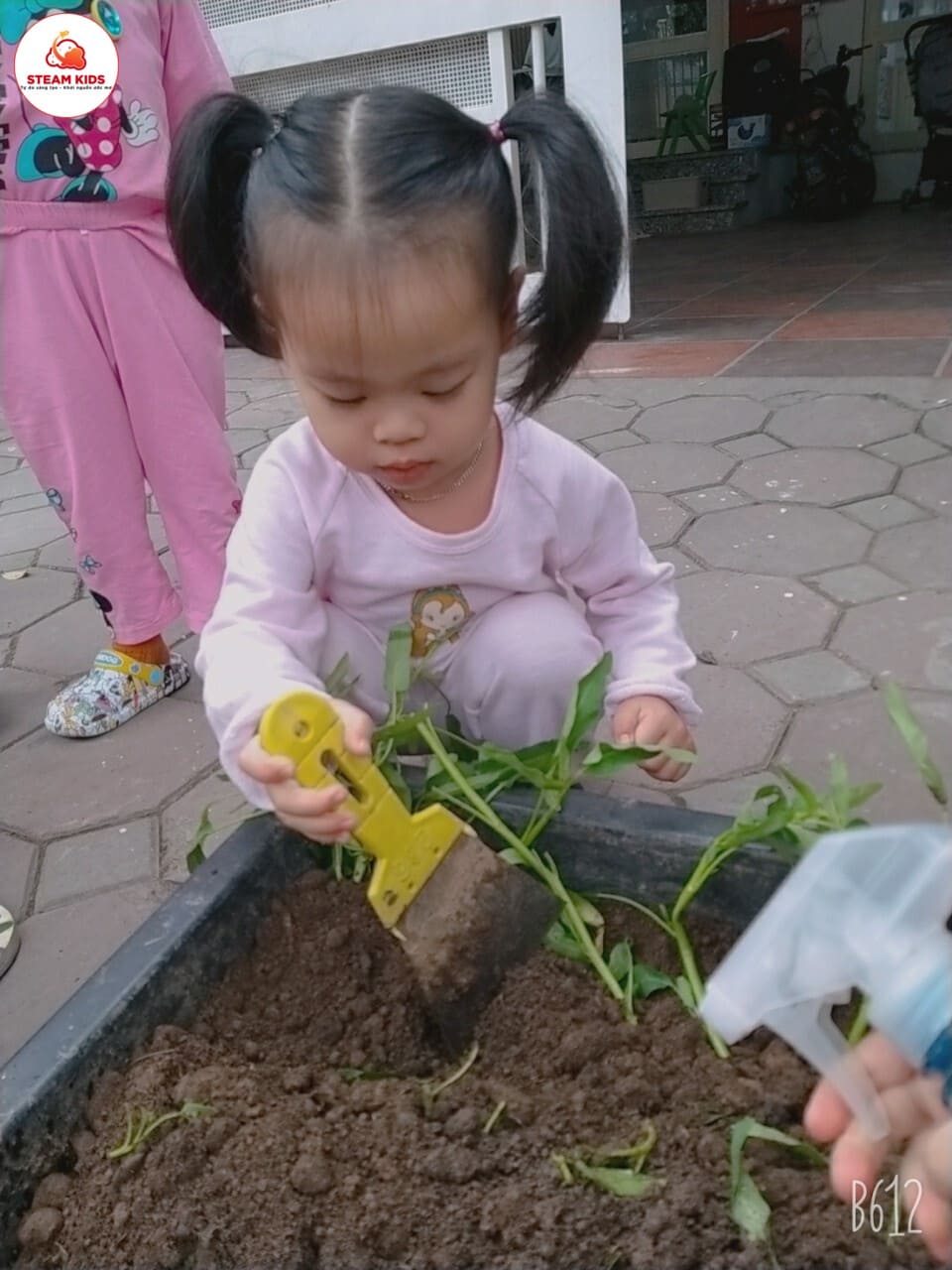 Hoạt Động Trải Nghiệm Trồng Rau Lớp Steam 3 - Trường Mầm Non STEAM KIDS