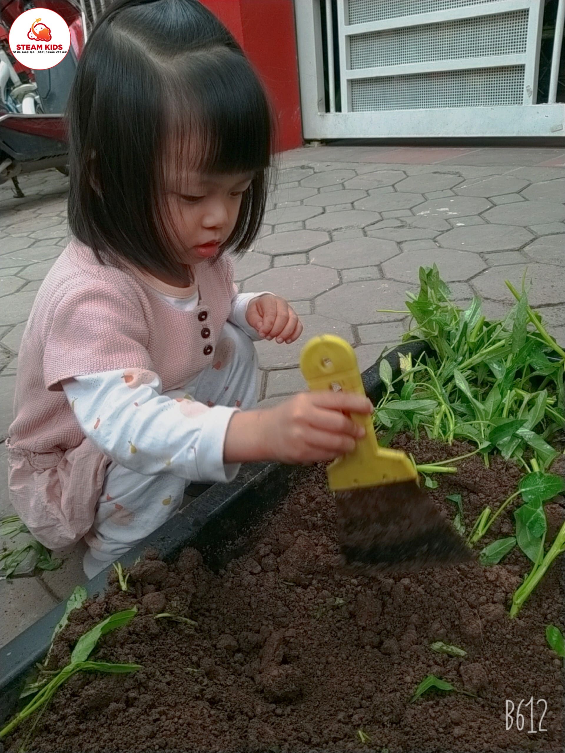 Hoạt Động Trải Nghiệm Trồng Rau Lớp Steam 3 - Trường Mầm Non STEAM KIDS