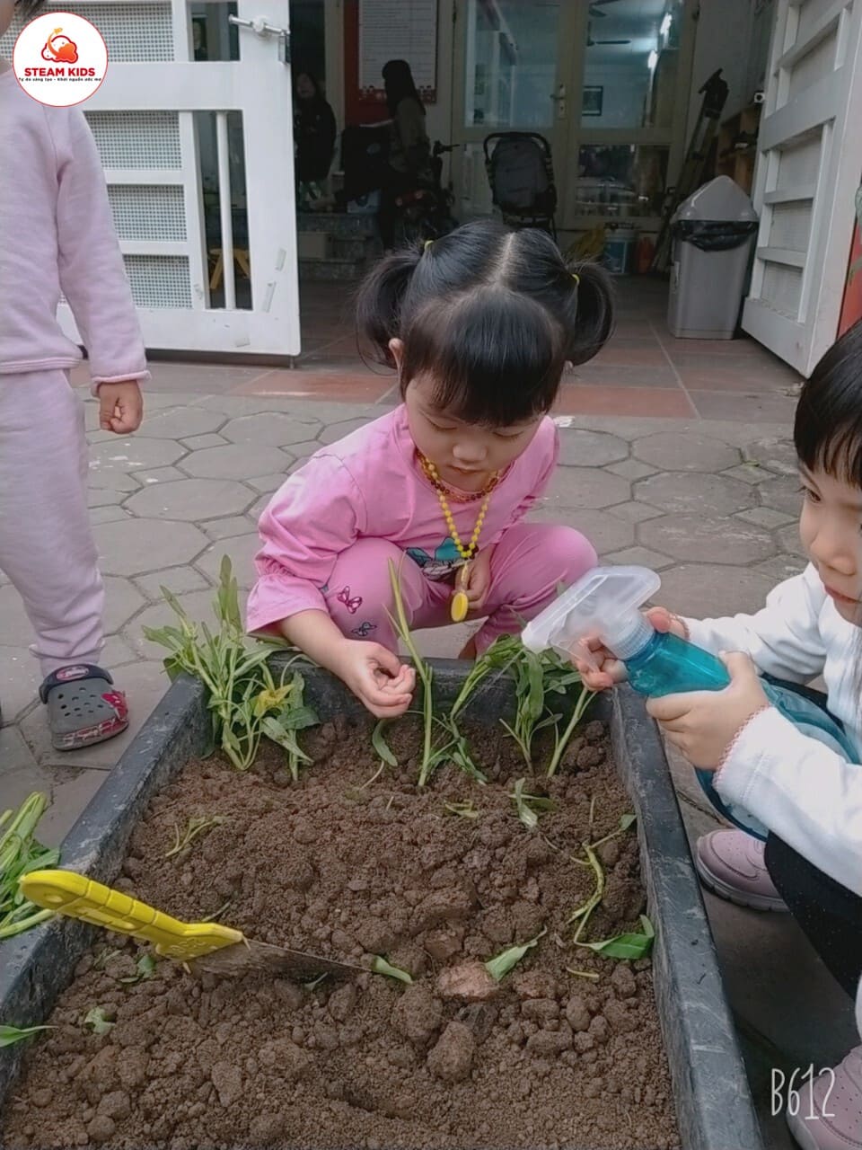 Hoạt Động Trải Nghiệm Trồng Rau Lớp Steam 3 - Trường Mầm Non STEAM KIDS