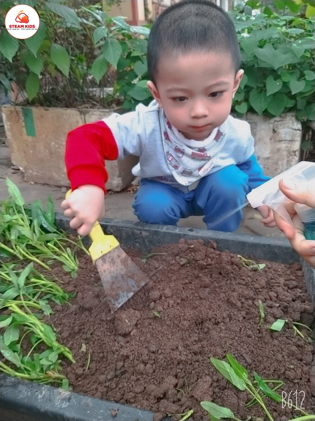 Hoạt Động Trải Nghiệm Trồng Rau Lớp Steam 3 - Trường Mầm Non STEAM KIDS