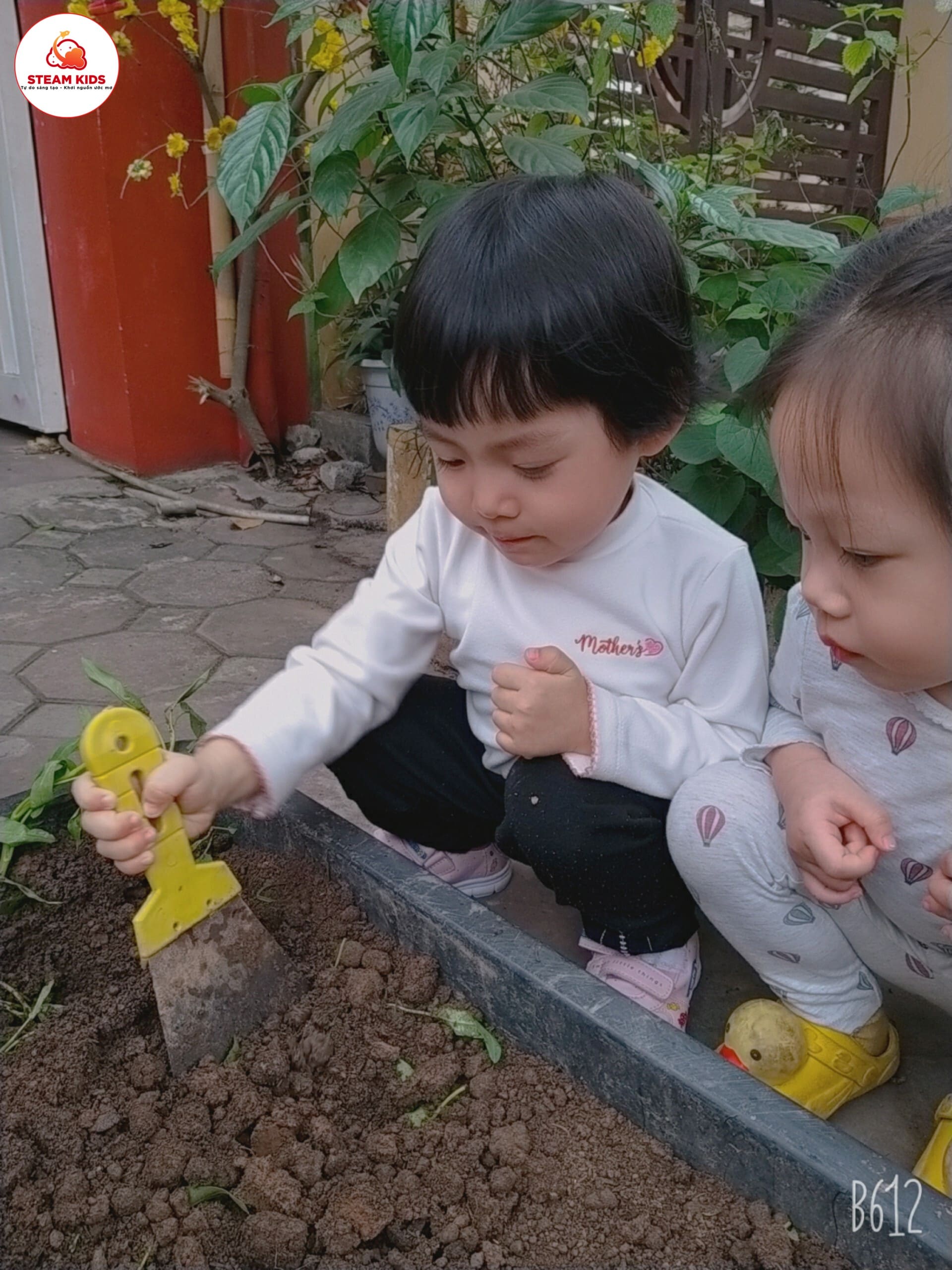 Hoạt Động Trải Nghiệm Trồng Rau Lớp Steam 3 - Trường Mầm Non STEAM KIDS