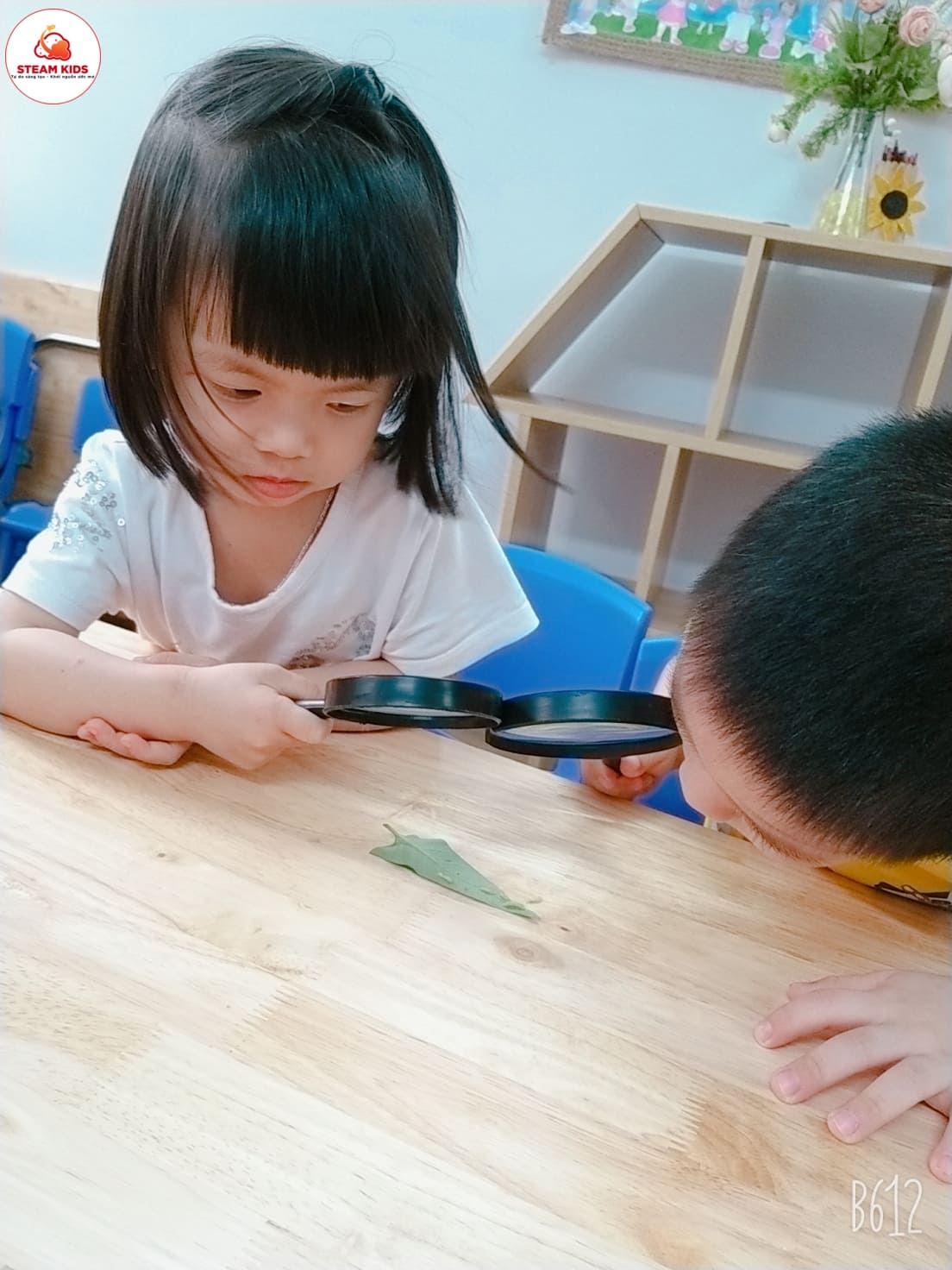 Tiết Học: “Quan Sát Con Sâu” Lớp Steam 3 - Trường Mầm Non STEAM KIDS