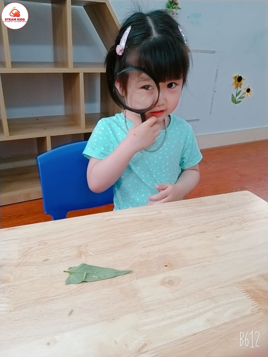 Tiết Học: “Quan Sát Con Sâu” Lớp Steam 3 - Trường Mầm Non STEAM KIDS