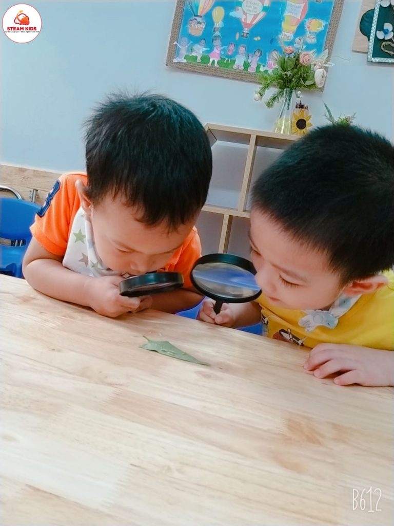 Tiết Học: “Quan Sát Con Sâu” Lớp Steam 3 - Trường Mầm Non STEAM KIDS