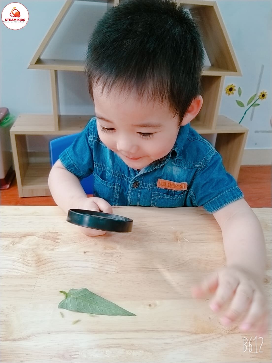 Tiết Học: “Quan Sát Con Sâu” Lớp Steam 3 - Trường Mầm Non STEAM KIDS