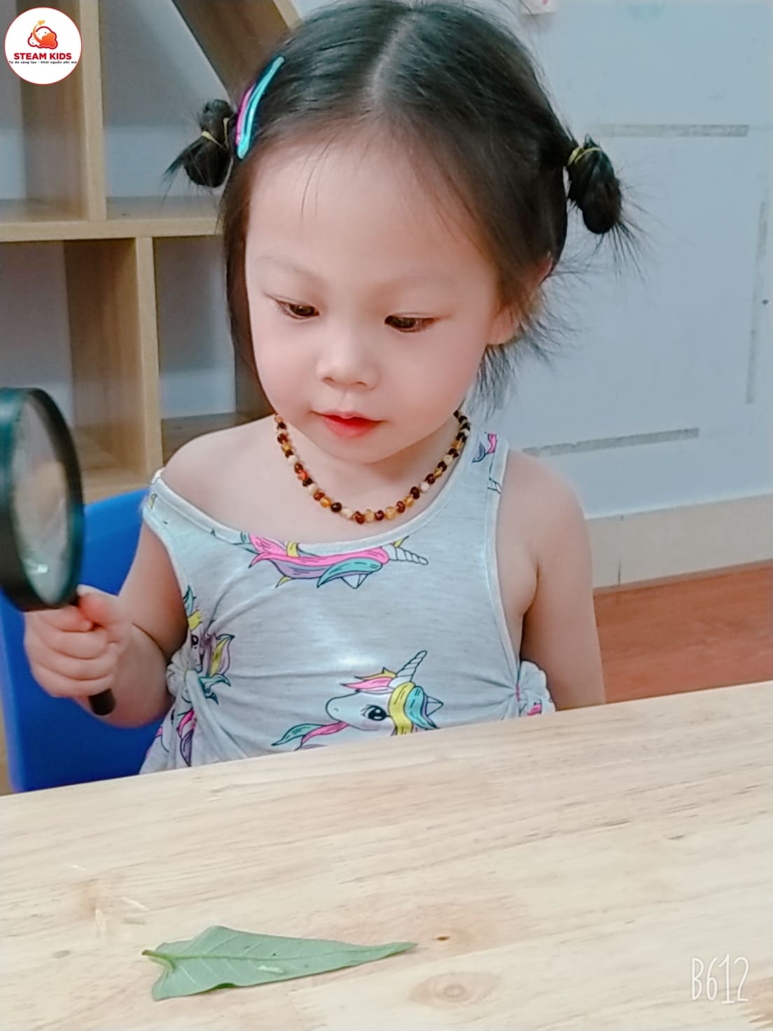 Tiết Học: “Quan Sát Con Sâu” Lớp Steam 3 - Trường Mầm Non STEAM KIDS