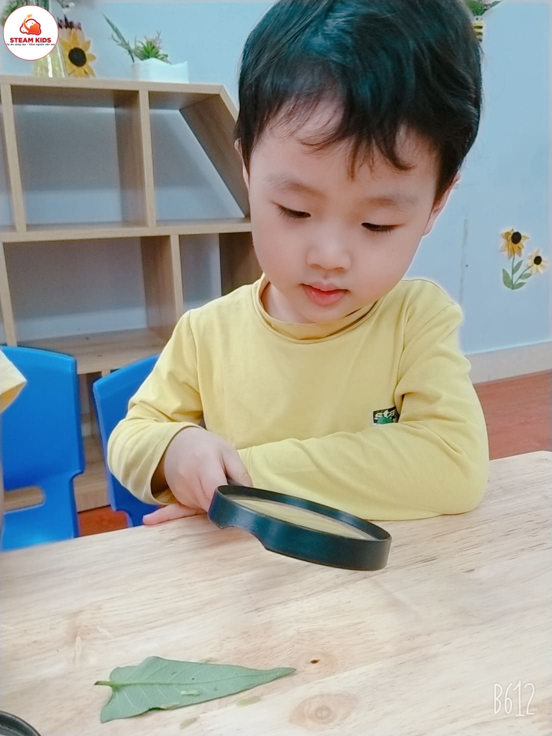 Tiết Học: “Quan Sát Con Sâu” Lớp Steam 3 - Trường Mầm Non STEAM KIDS