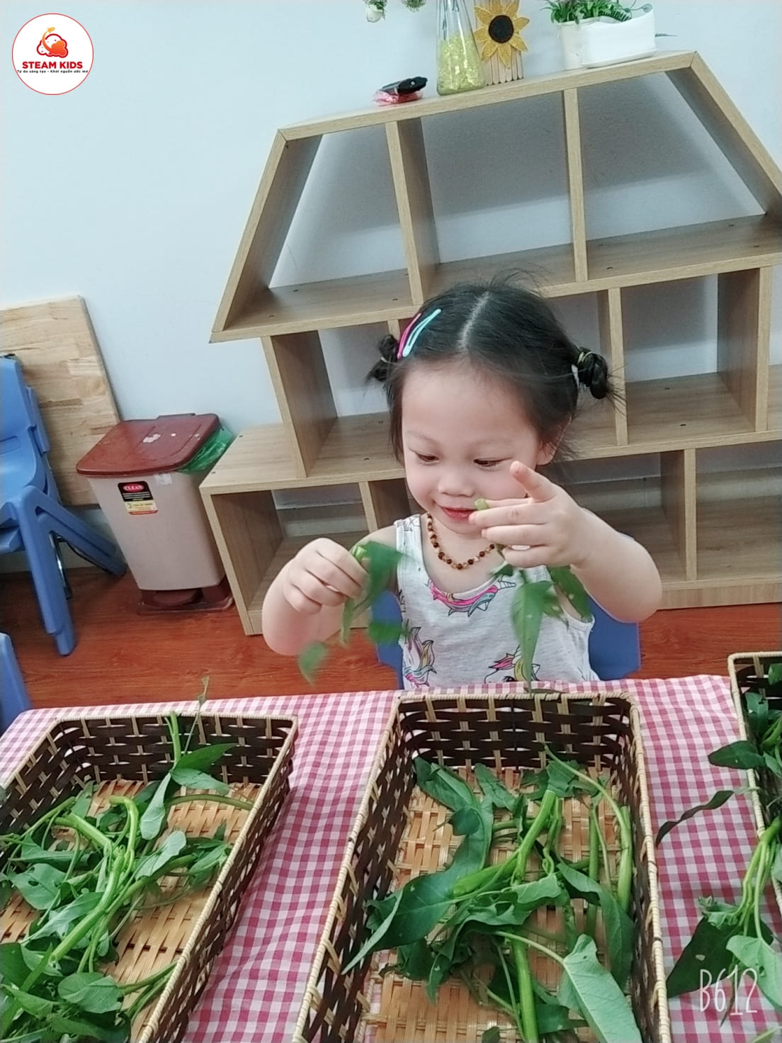 Hoạt Động: Bé Nhặt Rau Muống Lớp Steam 3 - Trường Mầm Non STEAM KIDS