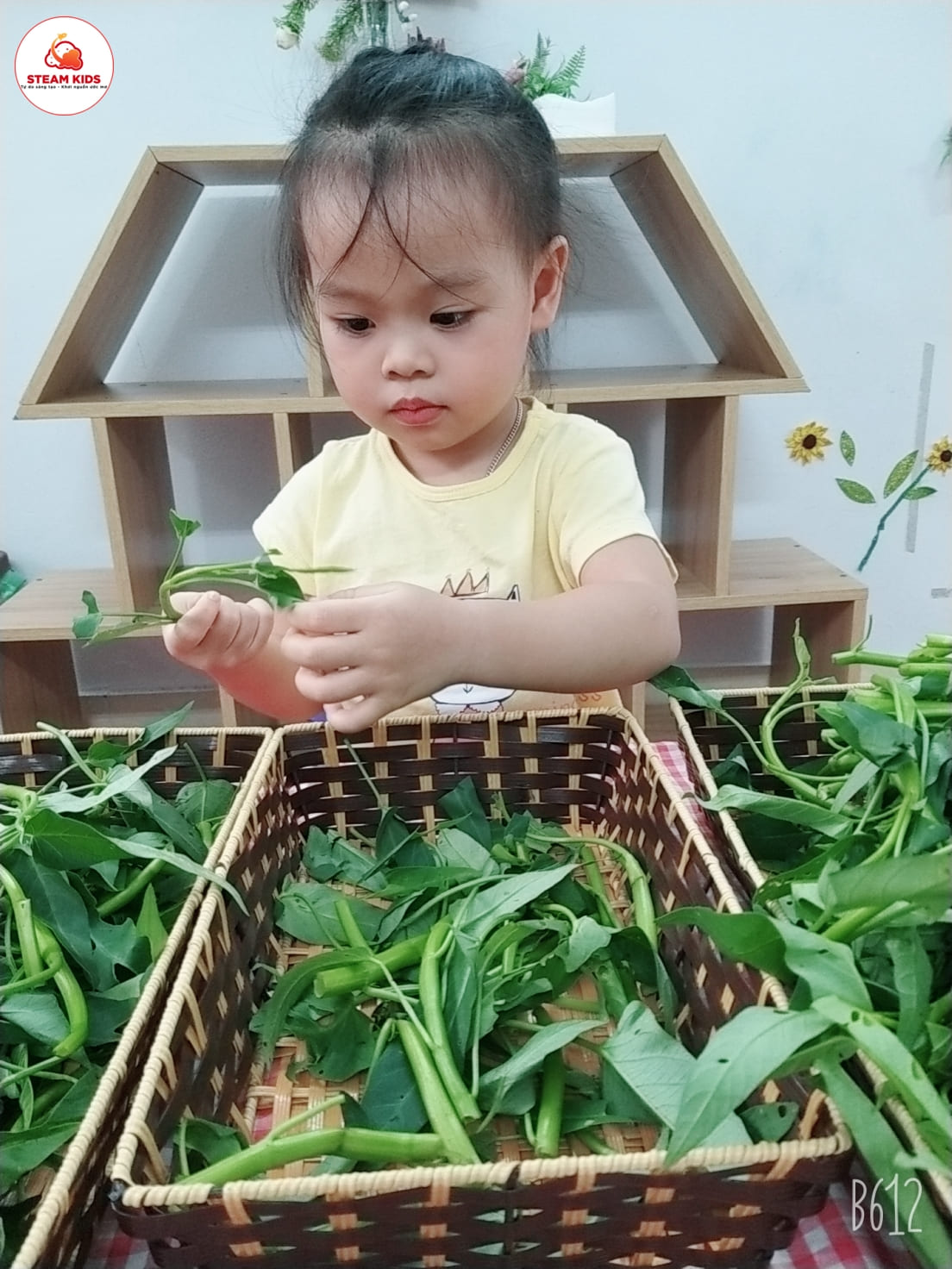 Hoạt Động: Bé Nhặt Rau Muống Lớp Steam 3 - Trường Mầm Non STEAM KIDS