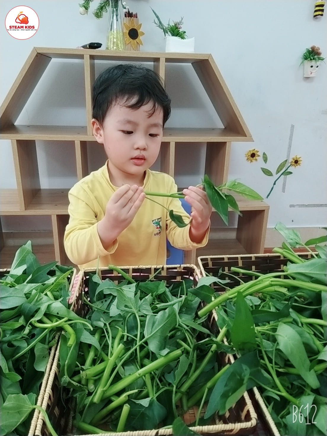 Hoạt Động: Bé Nhặt Rau Muống Lớp Steam 3 - Trường Mầm Non STEAM KIDS