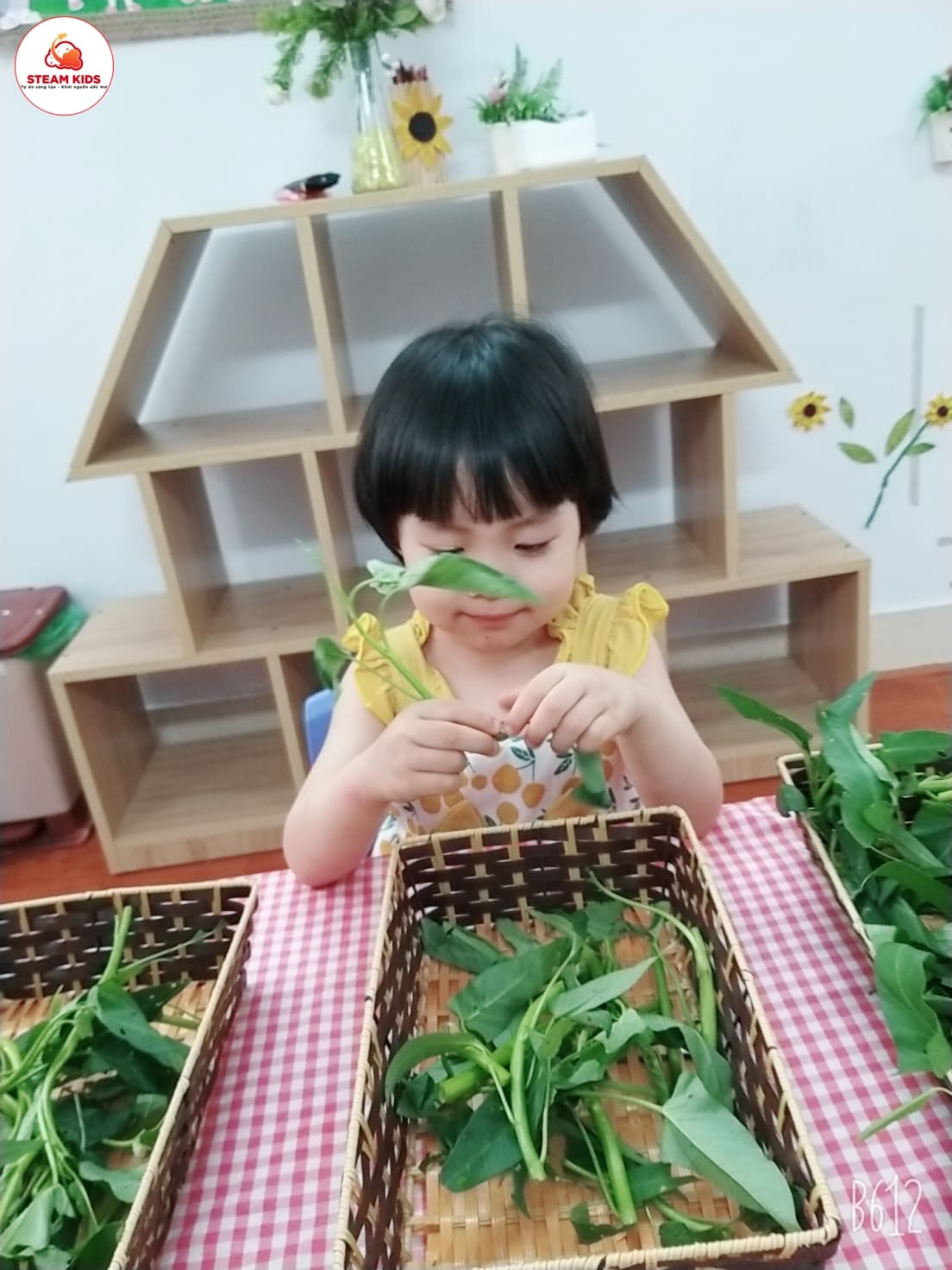 Hoạt Động: Bé Nhặt Rau Muống Lớp Steam 3 - Trường Mầm Non STEAM KIDS