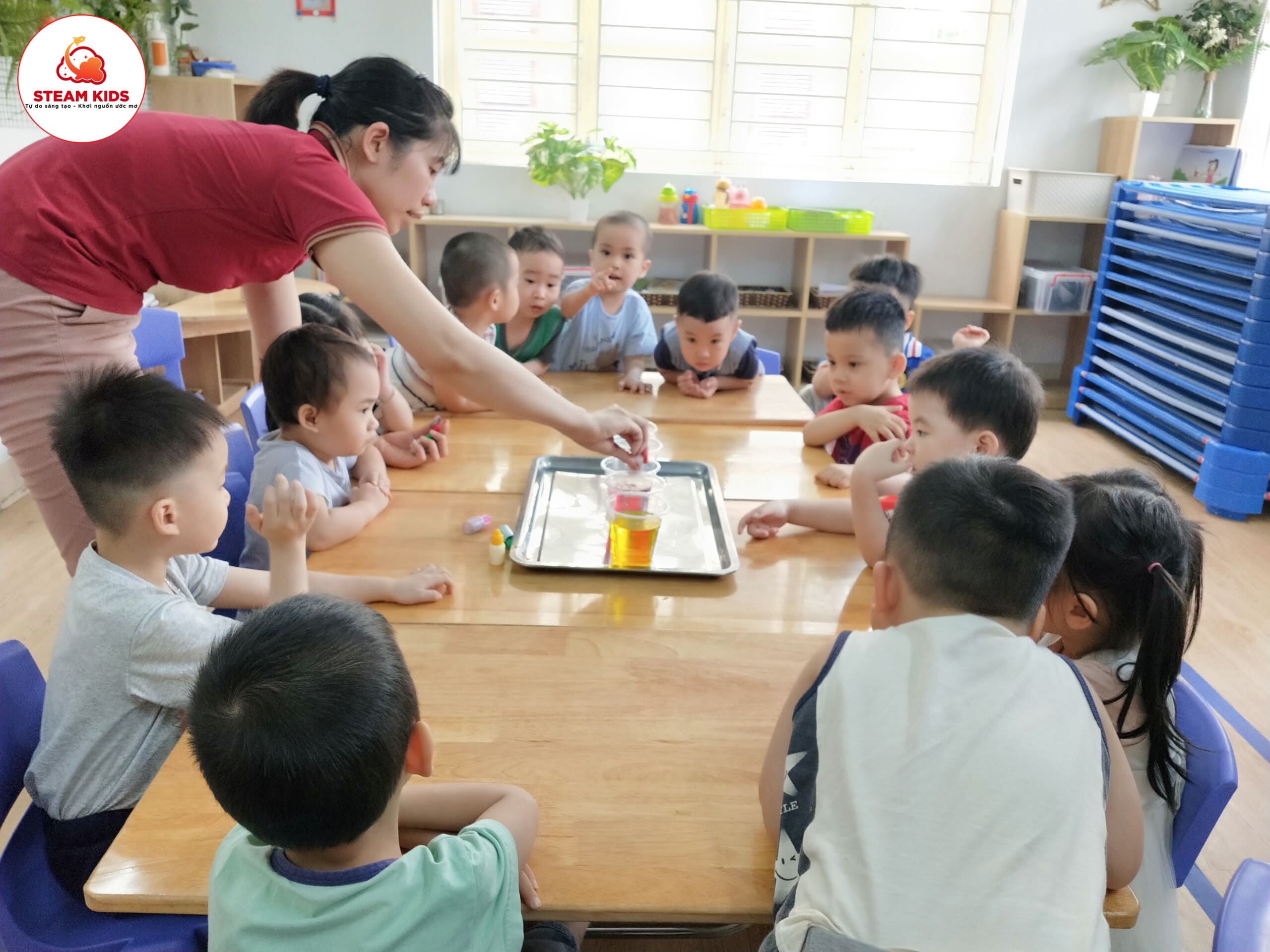 Thí Nghiệm: Sự Thấm Hút Của Giấy Lớp Steam 6 - Trường Mầm Non STEAM KIDS