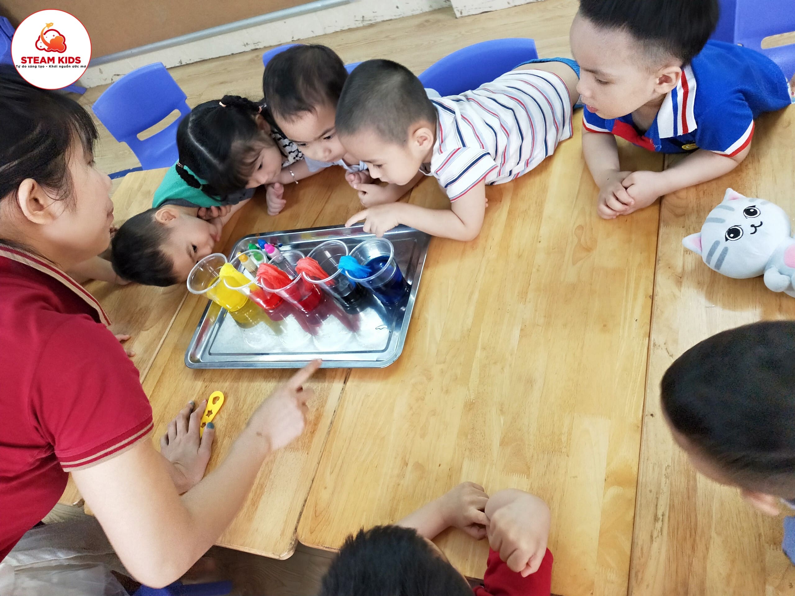 Thí Nghiệm: Sự Thấm Hút Của Giấy Lớp Steam 6 - Trường Mầm Non STEAM KIDS