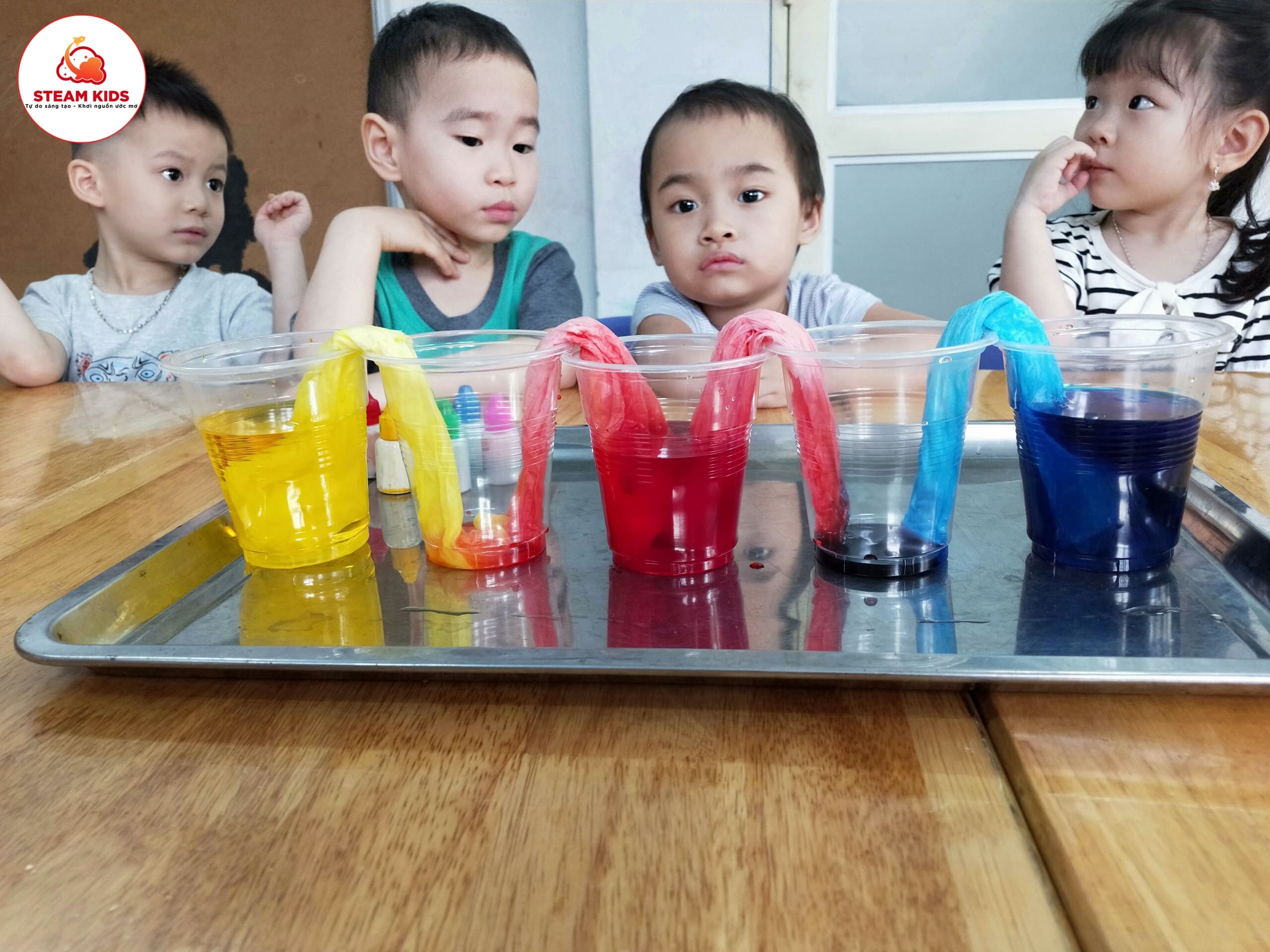 Thí Nghiệm: Sự Thấm Hút Của Giấy Lớp Steam 6 - Trường Mầm Non STEAM KIDS