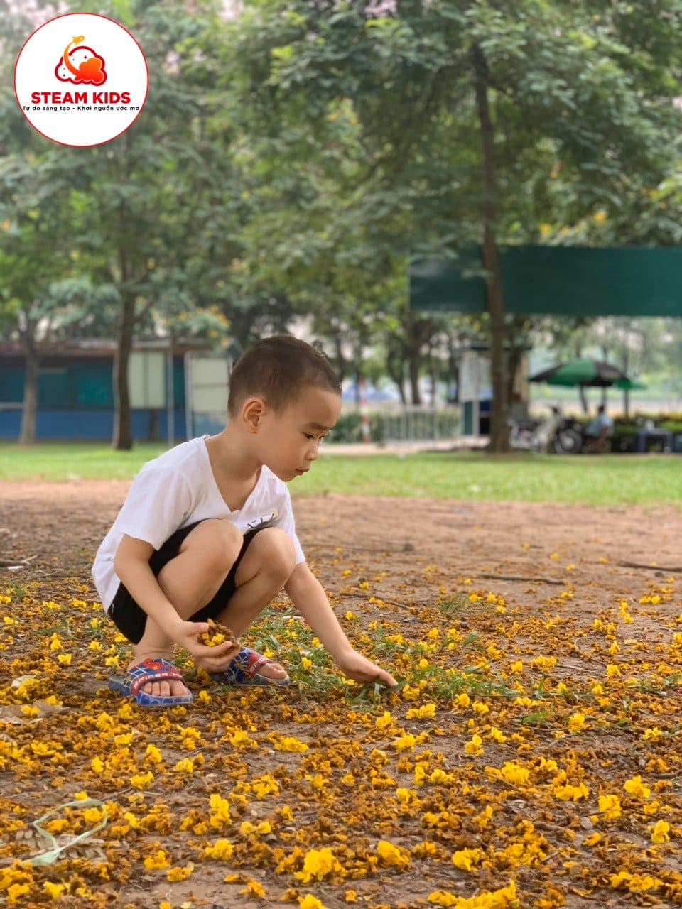 Hoạt Động Dã Ngoại Tại Công Viên Yên Sở Lớp Steam4 - Trường Mầm Non STEAM KIDS