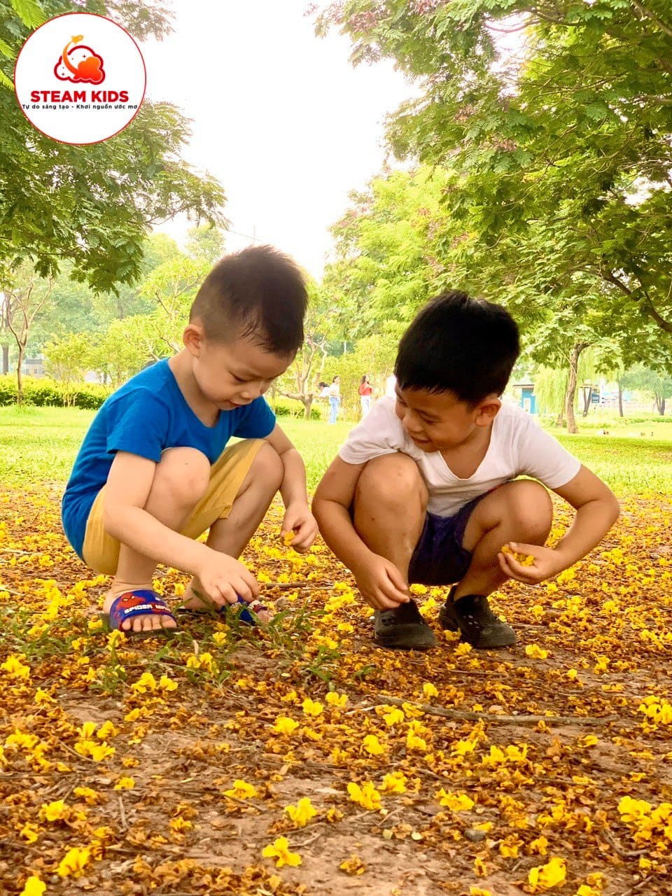 Hoạt Động Dã Ngoại Tại Công Viên Yên Sở Lớp Steam4 - Trường Mầm Non STEAM KIDS