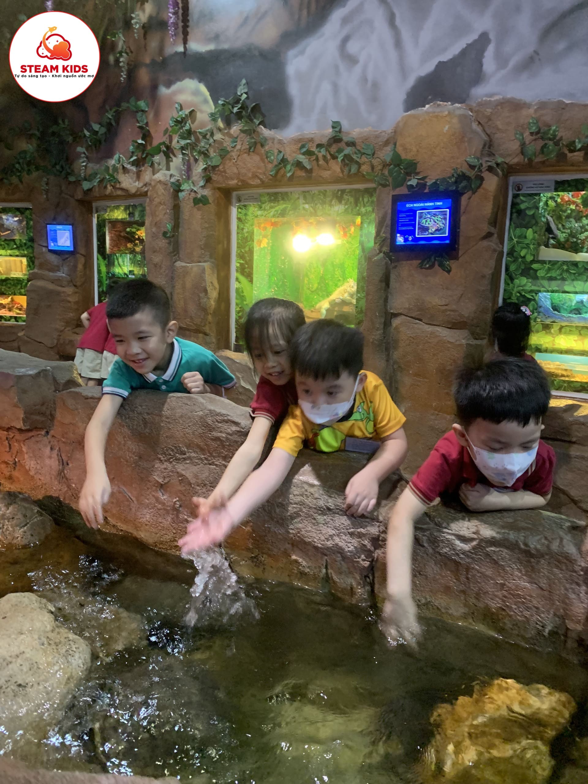 Hoạt Động Trải Nghiệm Tại Thủy Cung Time City Hoạt Động Trải Nghiệm Tại Thủy Cung Time City - Trường Mầm Non STEAM KIDS