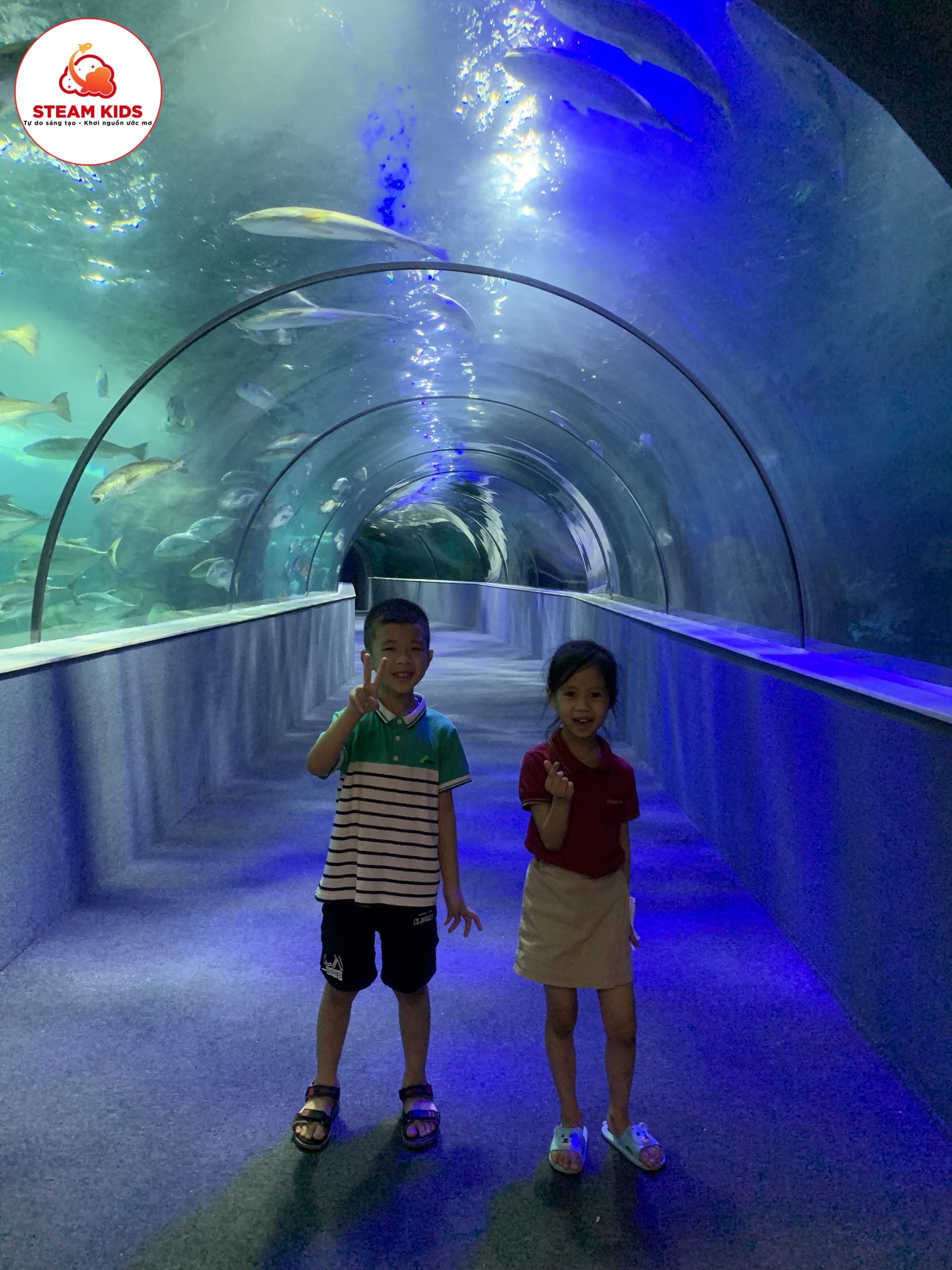 Hoạt Động Trải Nghiệm Tại Thủy Cung Time City Hoạt Động Trải Nghiệm Tại Thủy Cung Time City - Trường Mầm Non STEAM KIDS