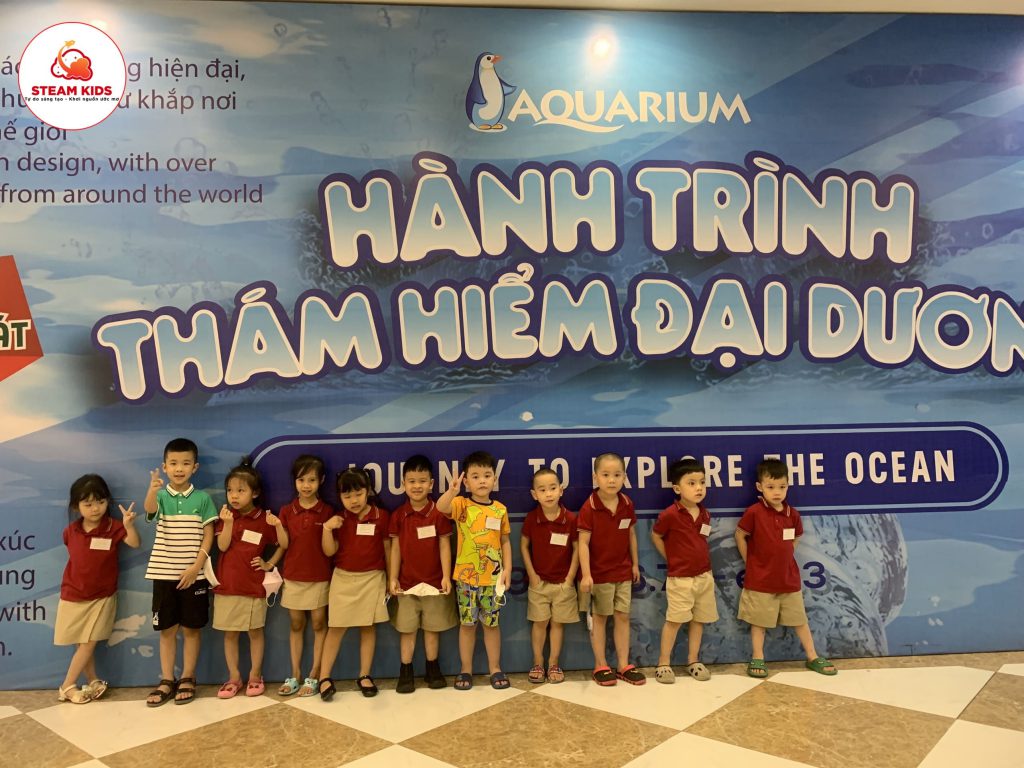 Hoạt Động Trải Nghiệm Tại Thủy Cung Time City Hoạt Động Trải Nghiệm Tại Thủy Cung Time City - Trường Mầm Non STEAM KIDS