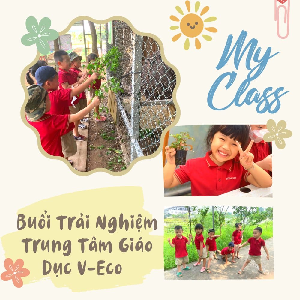 Buổi Trải Nghiệm Tại Trung Tâm Giáo Dục V-Eco Có Gì Vui? - Trường Mầm Non STEAM KIDS