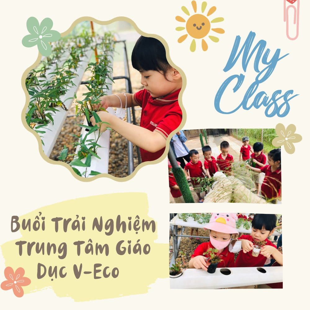 Buổi Trải Nghiệm Tại Trung Tâm Giáo Dục V-Eco Có Gì Vui? - Trường Mầm Non STEAM KIDS