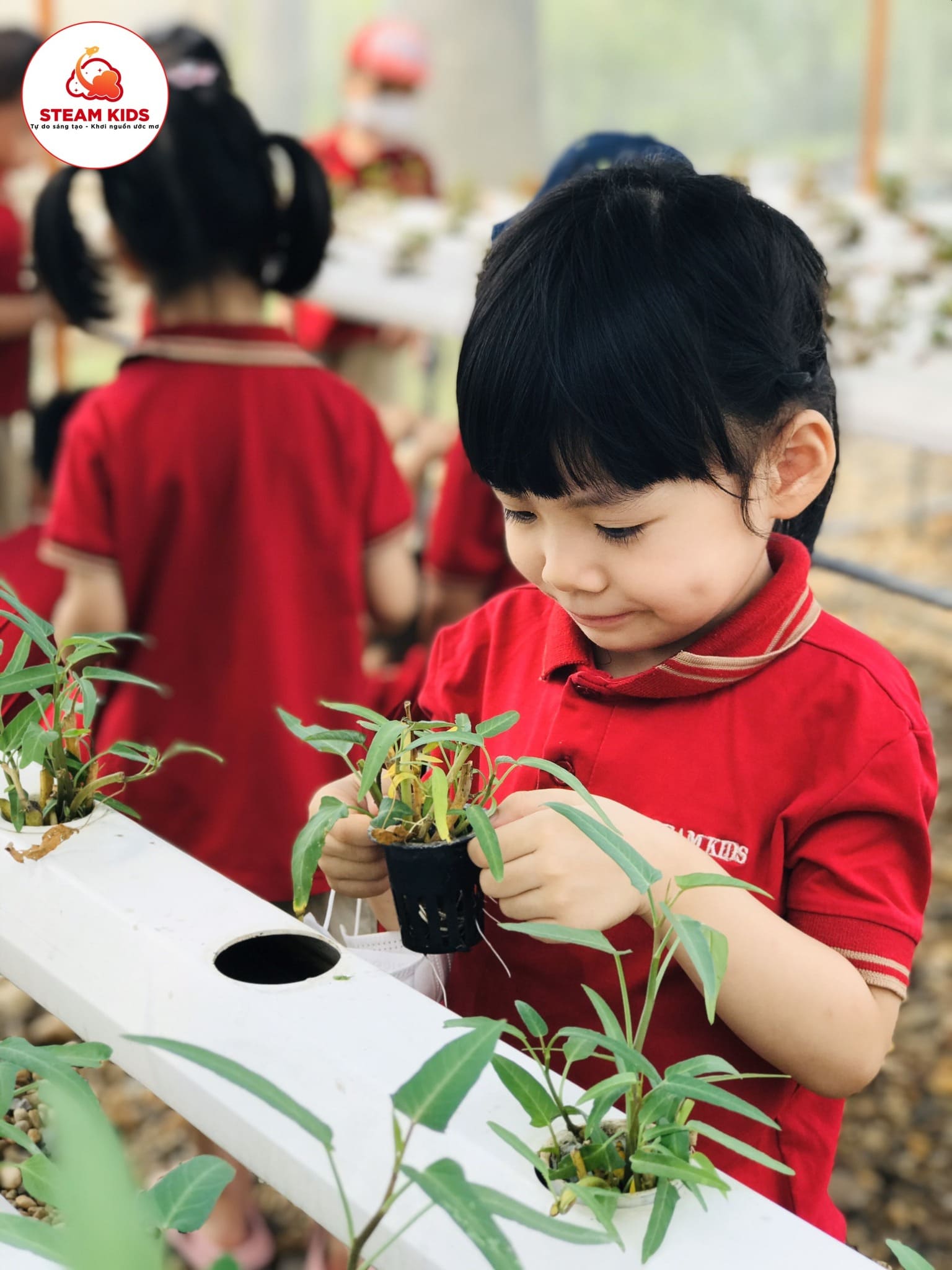 Buổi Trải Nghiệm Tại Trung Tâm Giáo Dục V-Eco Có Gì Vui? - Trường Mầm Non STEAM KIDS