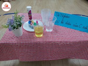 Thí Nghiệm: Khám Phá Sự Kì Diệu Của C Sủi - Trường Mầm Non STEAM KIDS