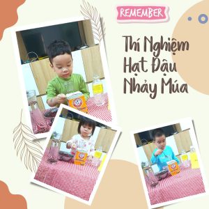 Thí Nghiệm Hạt Đậu Nhảy Múa - Trường Mầm Non STEAM KIDS