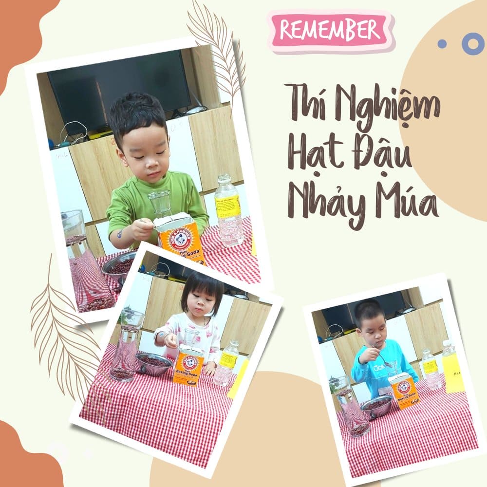 Thí Nghiệm Hạt Đậu Nhảy Múa - Trường Mầm Non STEAM KIDS