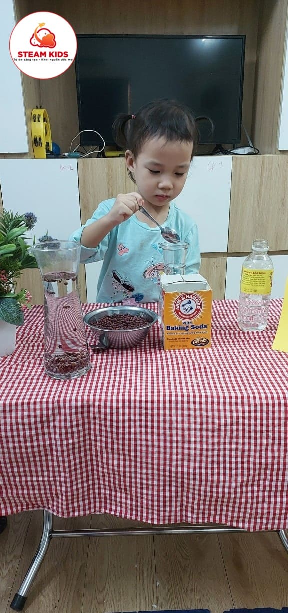 Thí Nghiệm Hạt Đậu Nhảy Múa - Trường Mầm Non STEAM KIDS