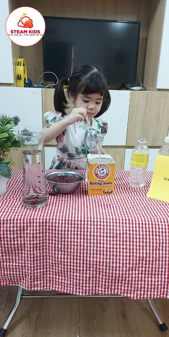 Thí Nghiệm Hạt Đậu Nhảy Múa - Trường Mầm Non STEAM KIDS