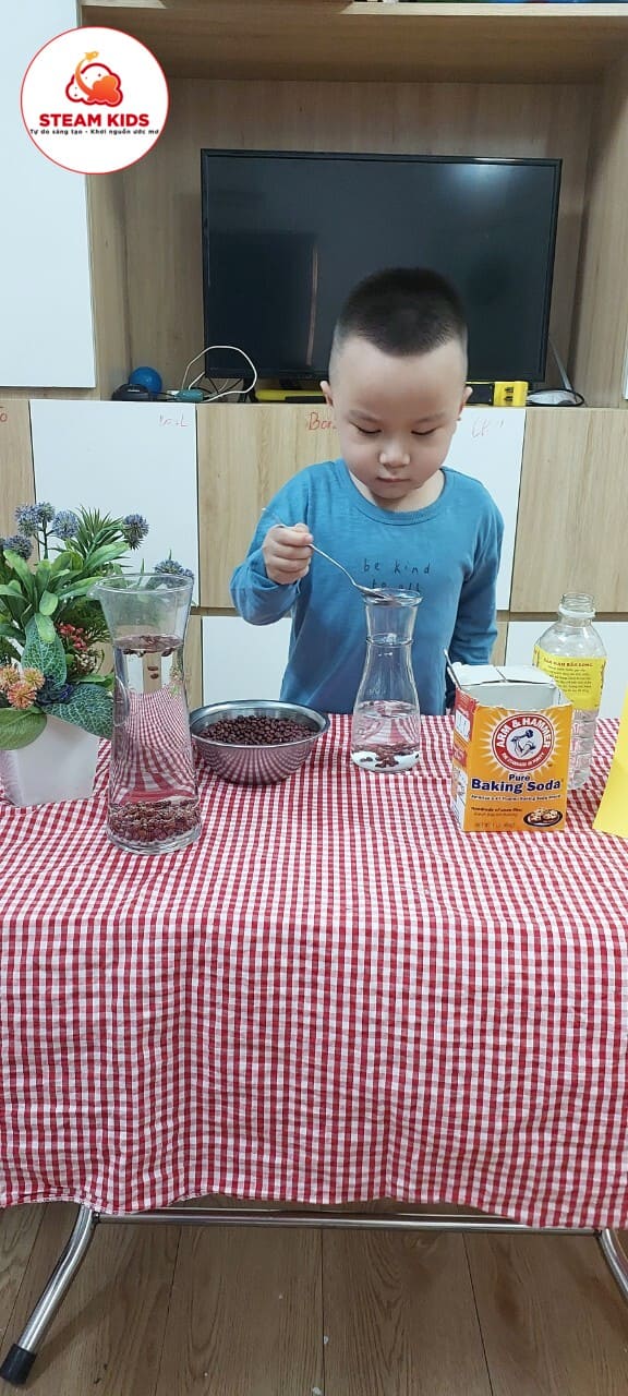 Thí Nghiệm Hạt Đậu Nhảy Múa - Trường Mầm Non STEAM KIDS