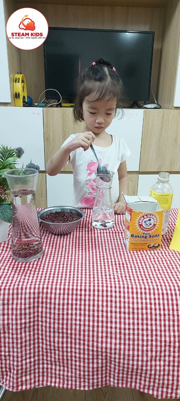 Thí Nghiệm Hạt Đậu Nhảy Múa - Trường Mầm Non STEAM KIDS