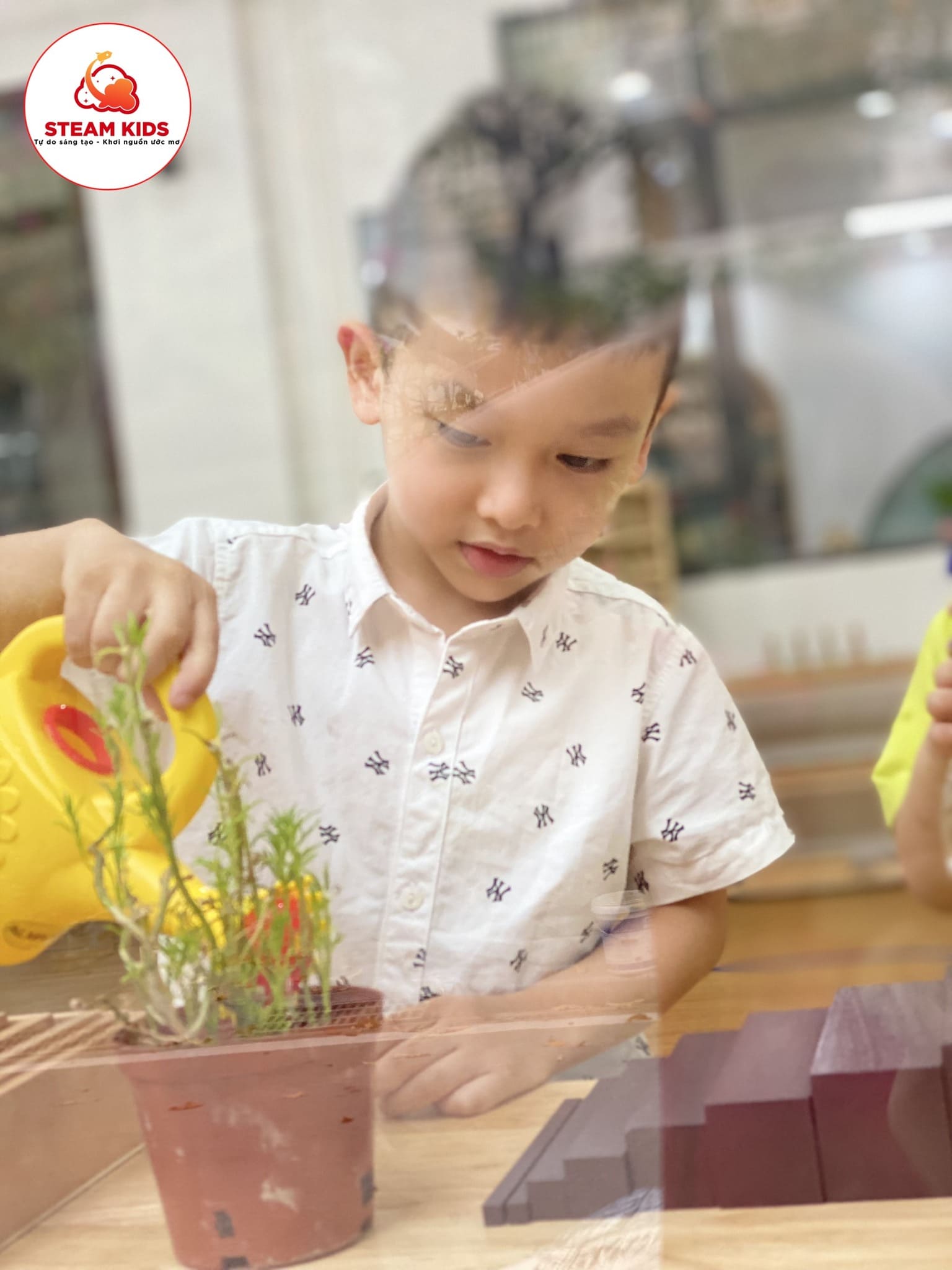 Hoạt Động Tuổi Nhỏ Làm Việc Nhỏ - Trường Mầm Non STEAM KIDS