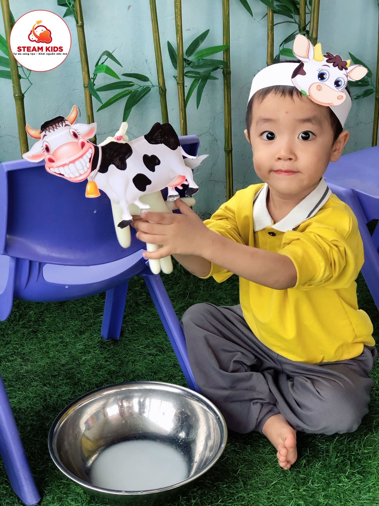 Hoạt Động Trải Nghiệm Vắt Sữa Bò Lớp Steam2 - Trường Mầm Non STEAM KIDS