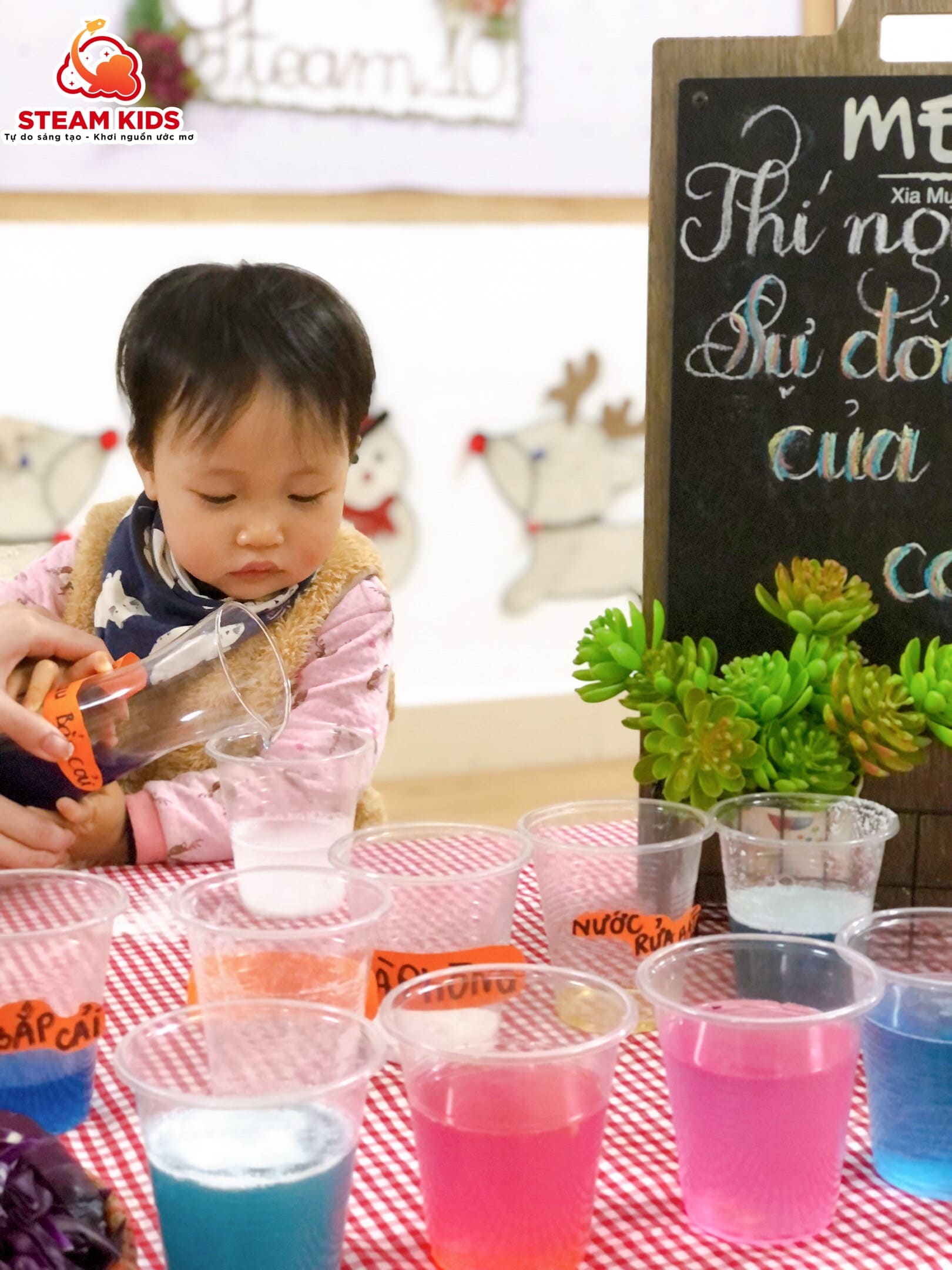 THÍ NGHIỆM: SỰ ĐỔI MÀU CỦA BẮP CẢI TÍM - Trường Mầm Non STEAM KIDS